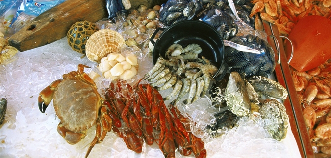 Photo by Jens Henrik Nybo